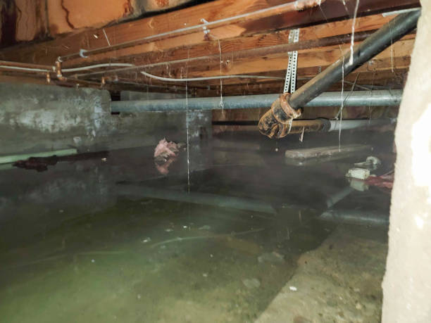 Best Sewage cleanup and water damage restoration  in Broadmoor, CA
