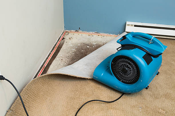 Best Water damage restoration near me  in Broadmoor, CA